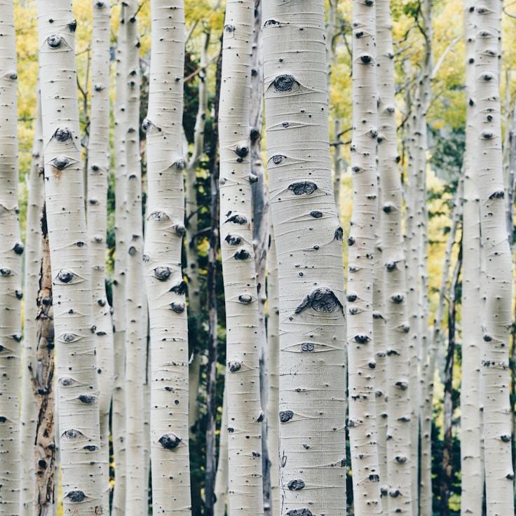 Scenes from nature travel